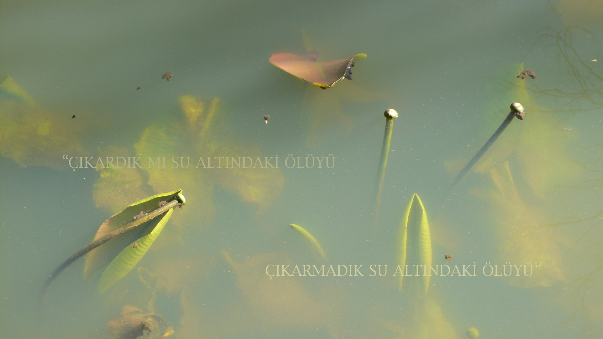 Hale Tenger, Did We Pull the Body Out from Underwater?, 2007, C-print, 135 x 76 cm