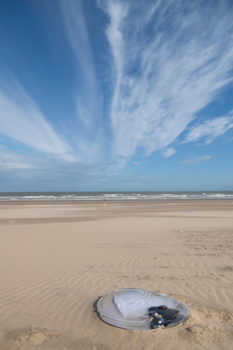 Rossella Biscotti, Stranded, 2021, Installation on Bredene Beach for Beaufort Triennale, Belgium, 2021
