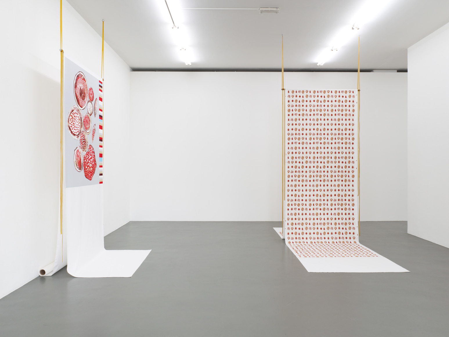 Rossella Biscotti, new work, Installation view at&nbsp;Witte de With Center for Contemporary Art, Rotterdam, Italy, 2019