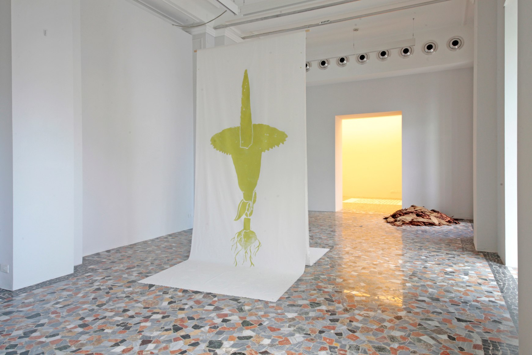 Rossella Biscotti, Clara and Other Specimens, Installation view at Fondazione Antonio Ratti, Villa Sucota, Como, Italy, 2019