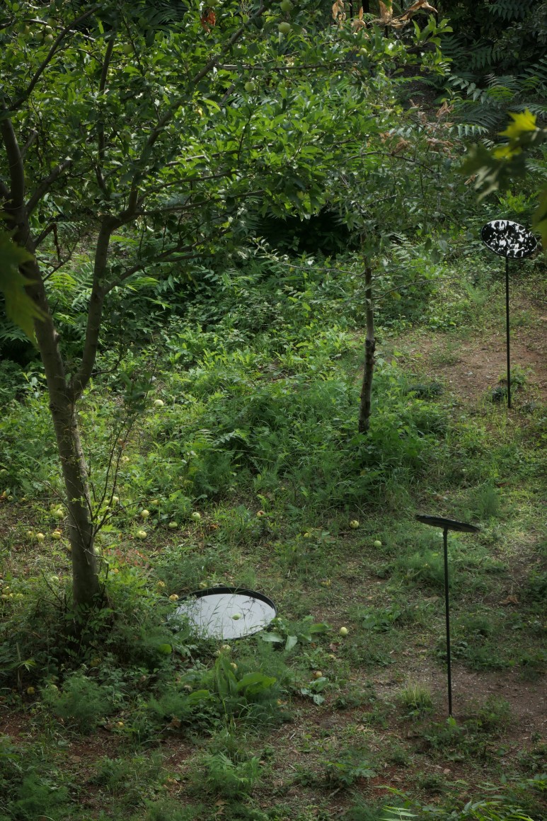 Hale Tenger,&nbsp;Appearance, 2019, Installation view at&nbsp;16th Istanbul Biennial