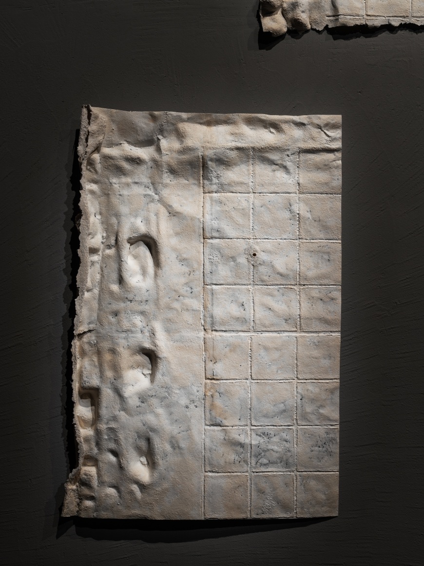 Nazgol Ansarinia, Membrane (Parts), 2014, Paper, paste &amp;amp; glue