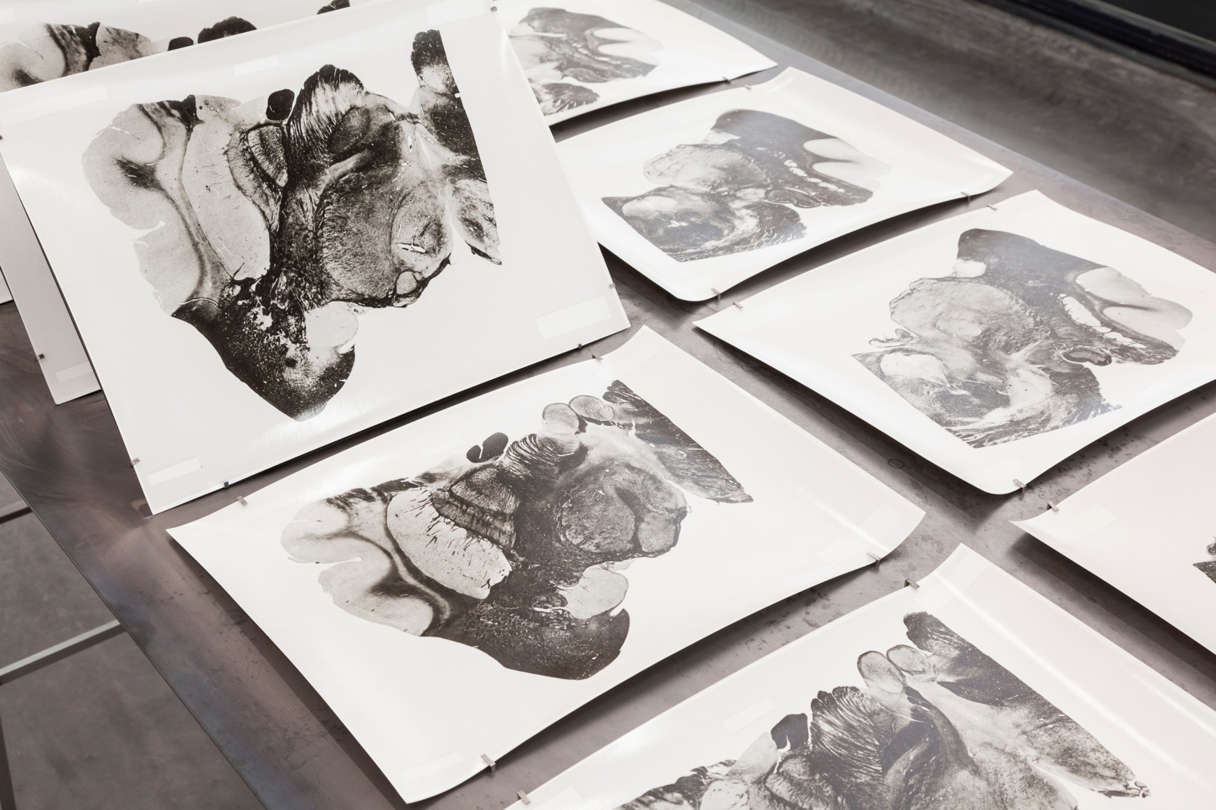 Rossella Biscotti, 168 Sections of a Human Brain (detail), 2010 - 2014