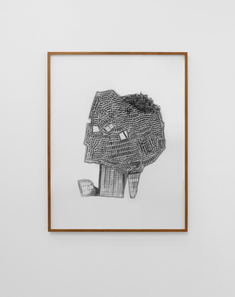 Hera&nbsp;B&uuml;y&uuml;ktaşcıyan, Terrestrial I, 2019, Archival print, graphite on paper,&nbsp;142 x 109.5 cm