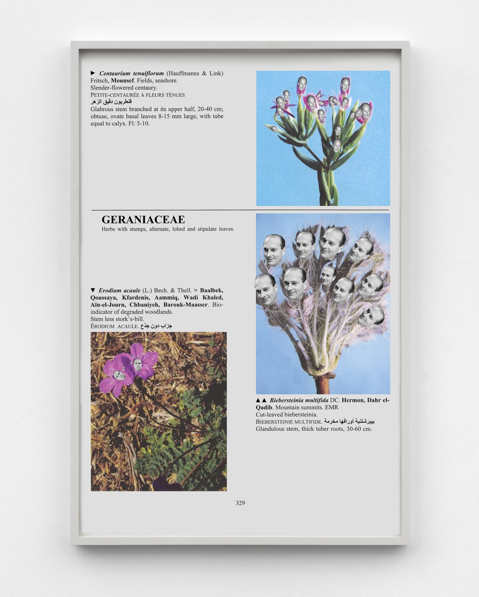 Walid Raad / The Atlas Group Better be watching the clouds_Plate 329, 2000/2017 pigmented inkjet print 30 x 20 in. (76.2 x 50.8 cm) frame: 30 3/4 x 20 3/4 x 1 3/8 in. (78.1 x 52.7 x 3.5 cm) Edition 1 of 3, + 2 APs