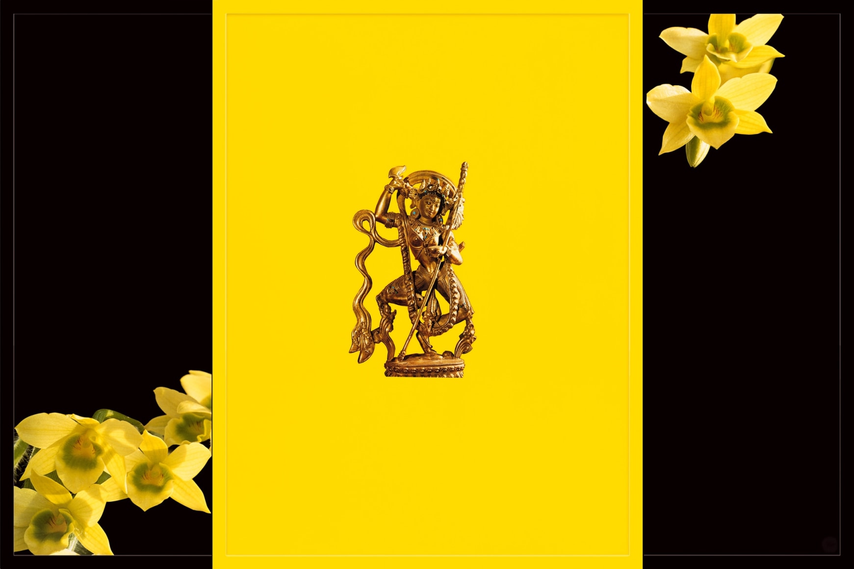 Sarah Charlesworth, Wisdom Through Initiation,&nbsp;1989