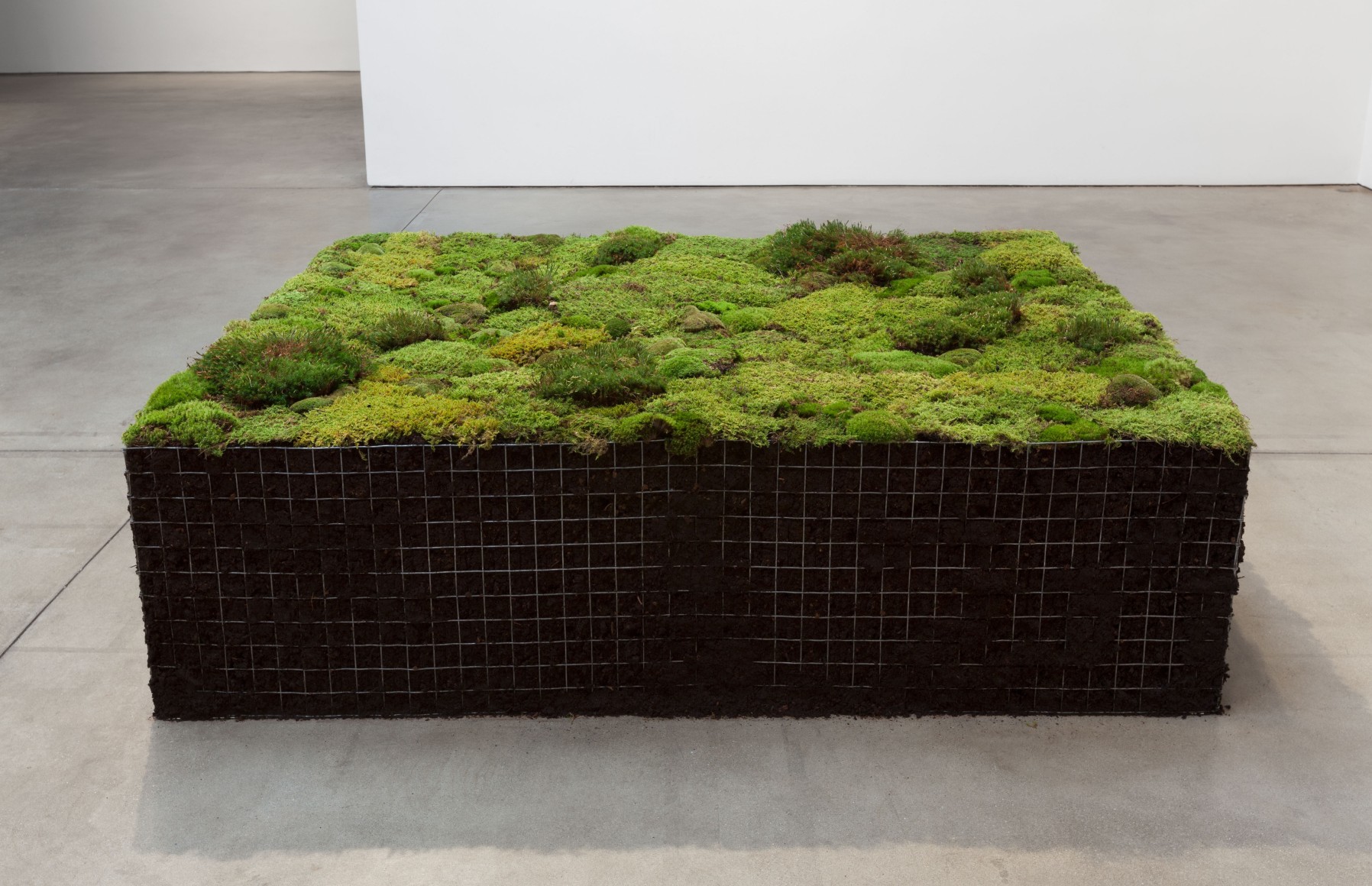 Meg Webster Volume for Lying Flat, 2016 peat moss, green moss, soil, galvanized steel wire mesh 22 x 59 x 81 1/2 in. (55.9 x 149.9 x 207 cm)