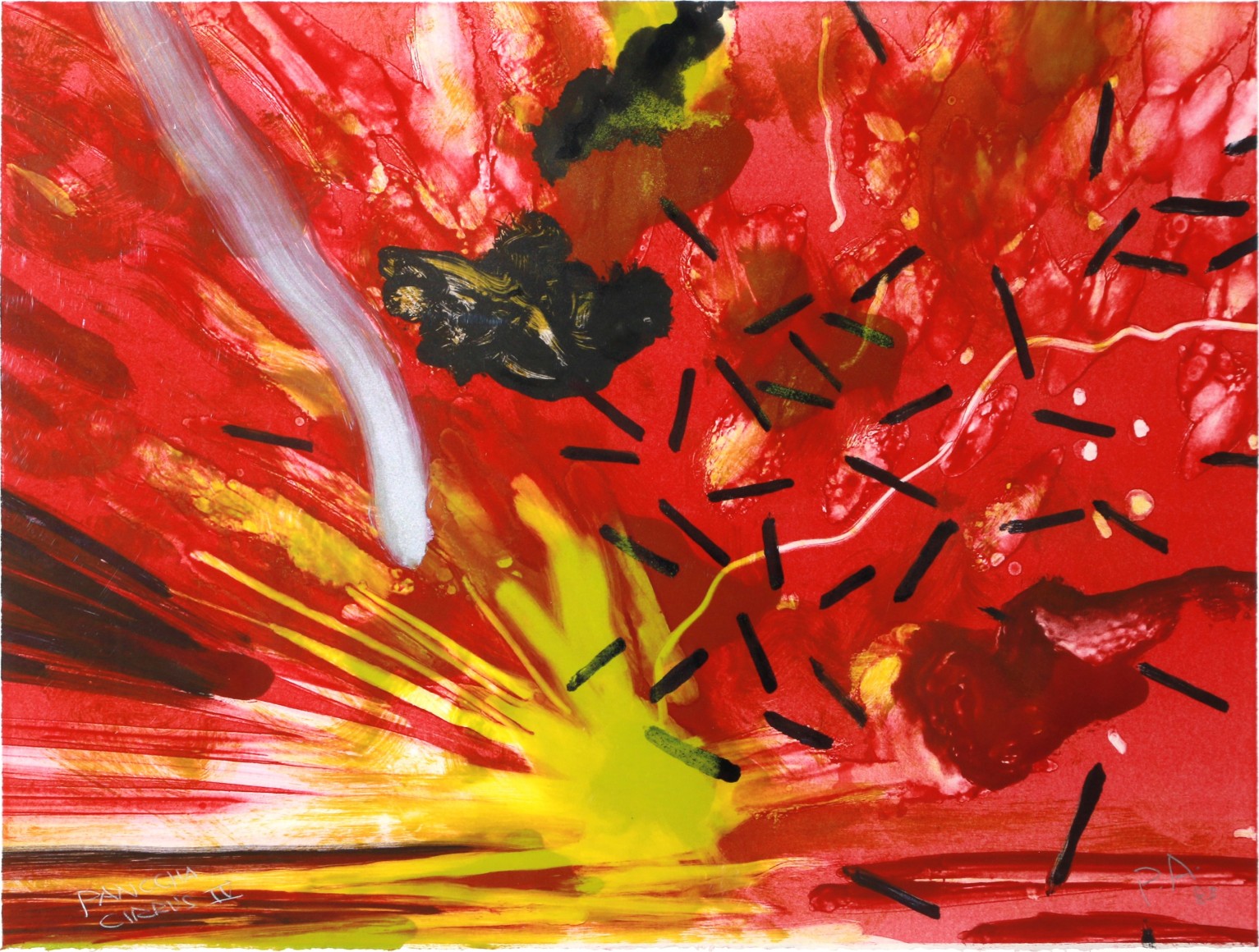 Panocha Cirrus, 1983