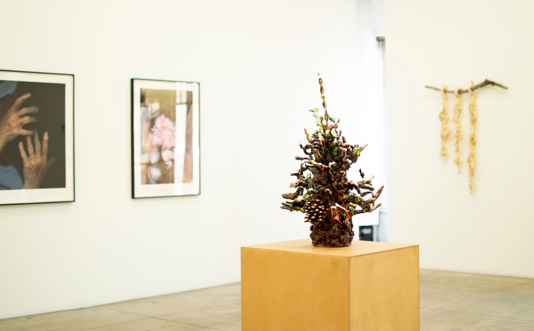 Installation view, Holy Squash: Jibz Cameron, Jackie Rines, Barbara T. Smith