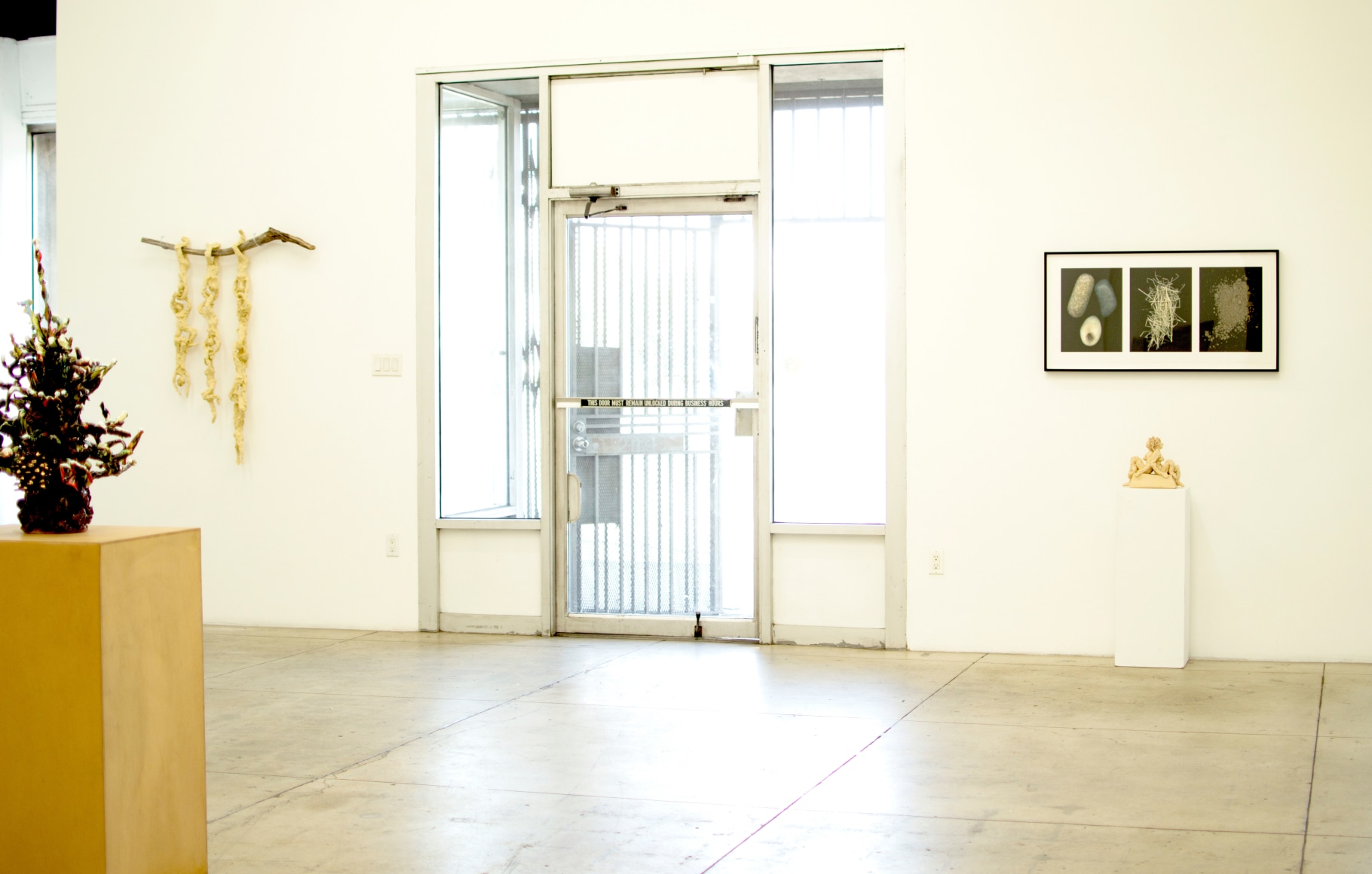 Installation view, Holy Squash: Jibz Cameron, Jackie Rines, Barbara T. Smith