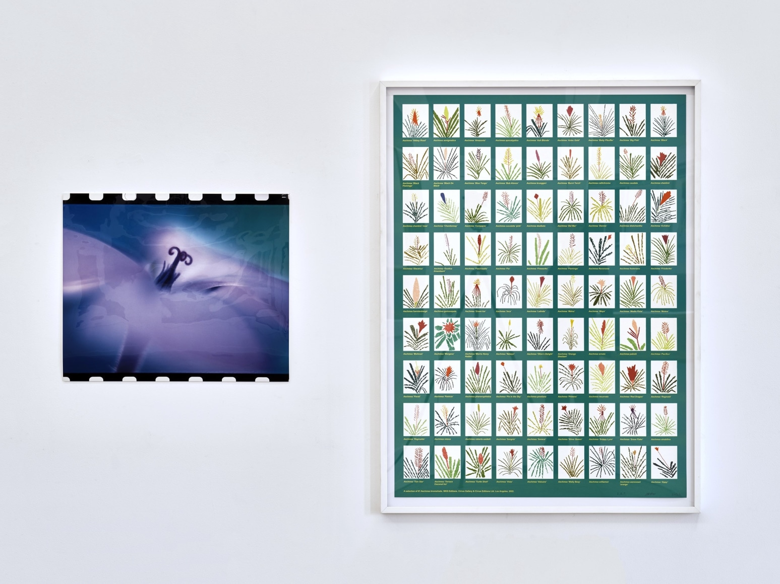 The Love of the Marvelous and the Disbelief of the True