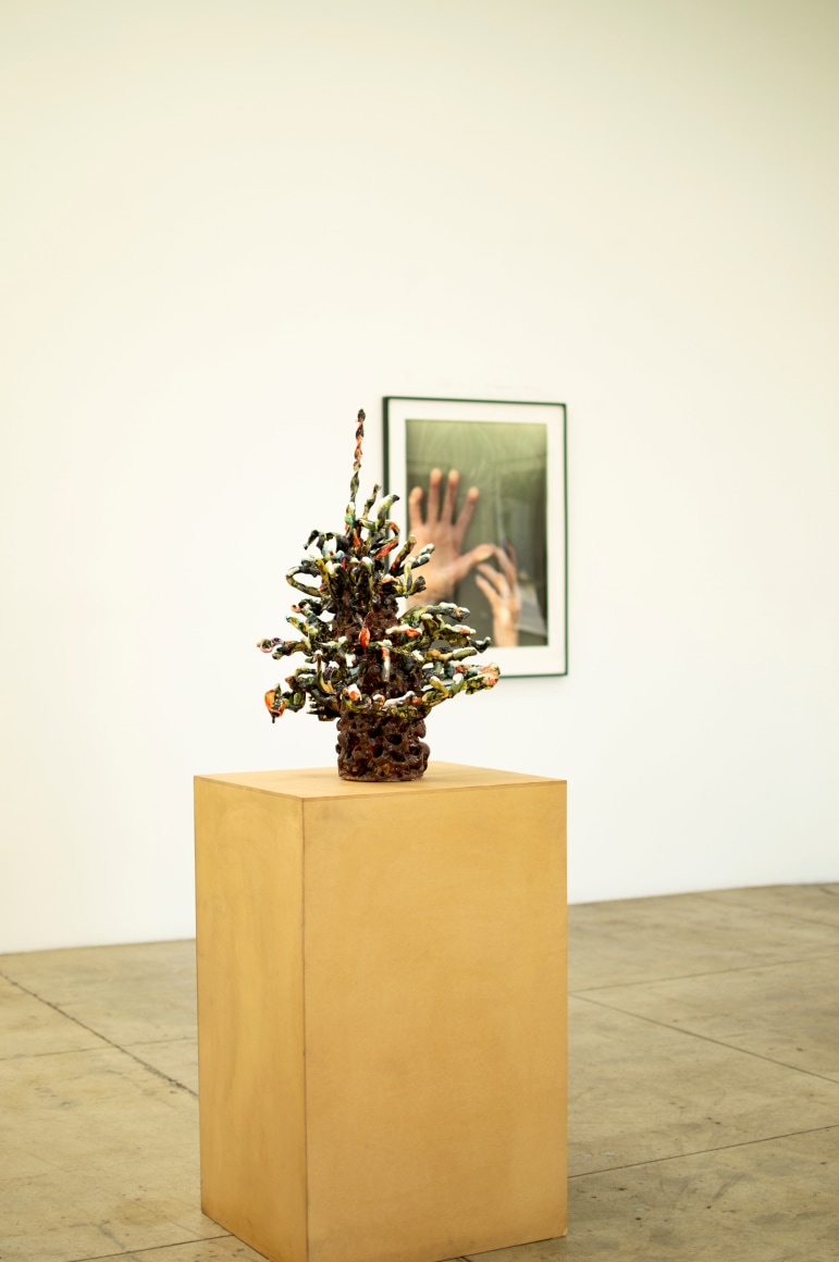 Jackie Rines, Norwegian Wood (M)