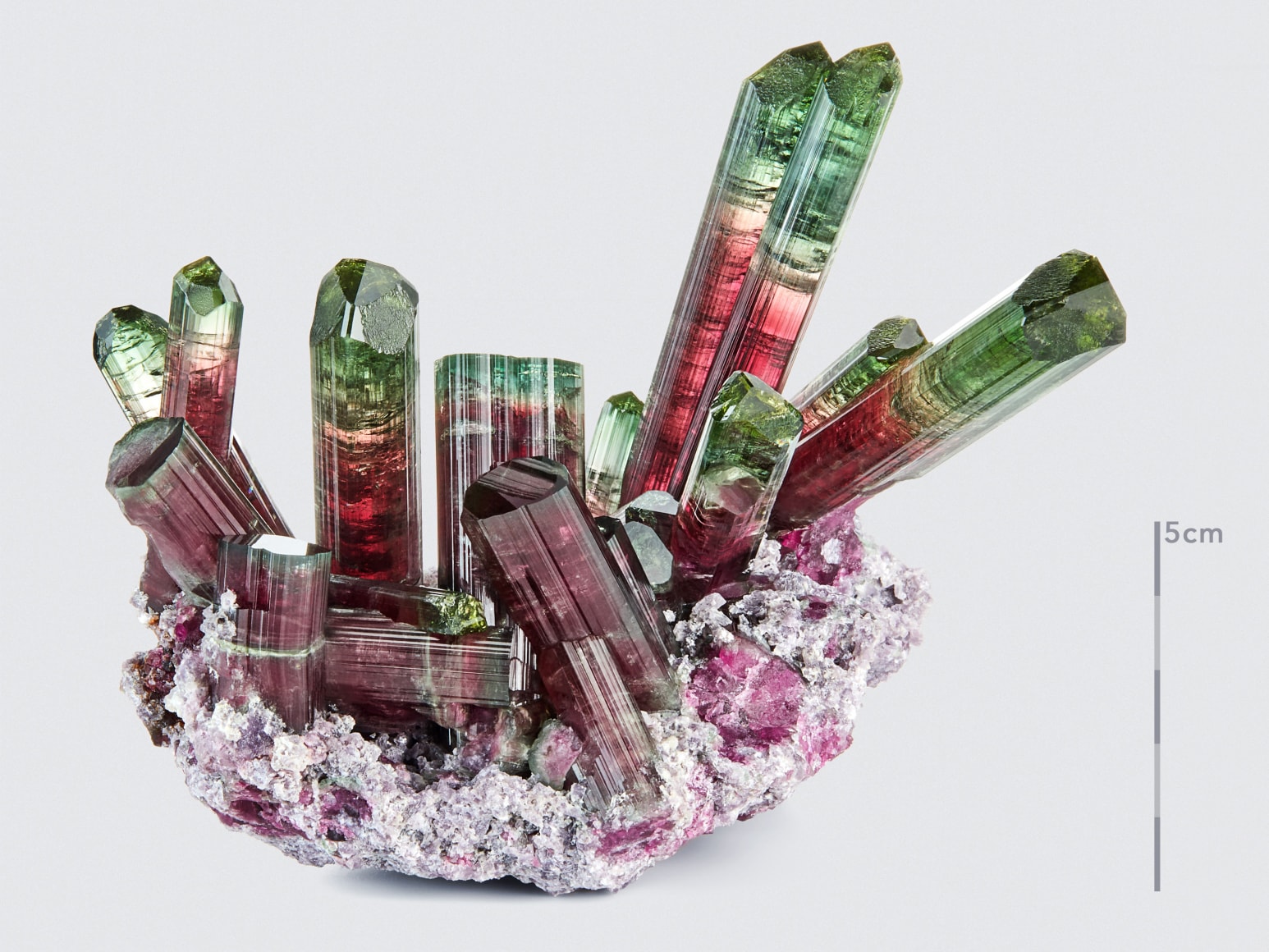 tourmaline fine mineral photograph on white for wilensky exquisite minerals habits exhibition