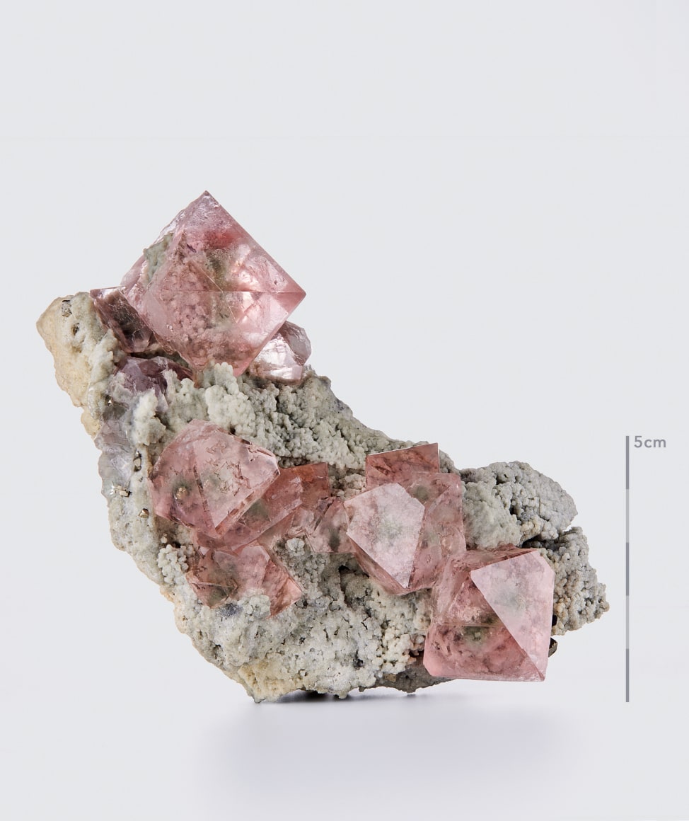 fine mineral photograph of pink fluorite on a white background for Wilensky Exquisite Minerals Habits exhibtion.