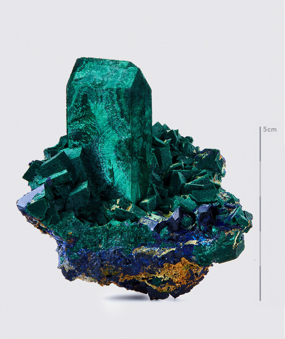 Fine Mineral photograph of Malachite pseudomorph Azurite on white background from Wilensky Exquisite Minerals