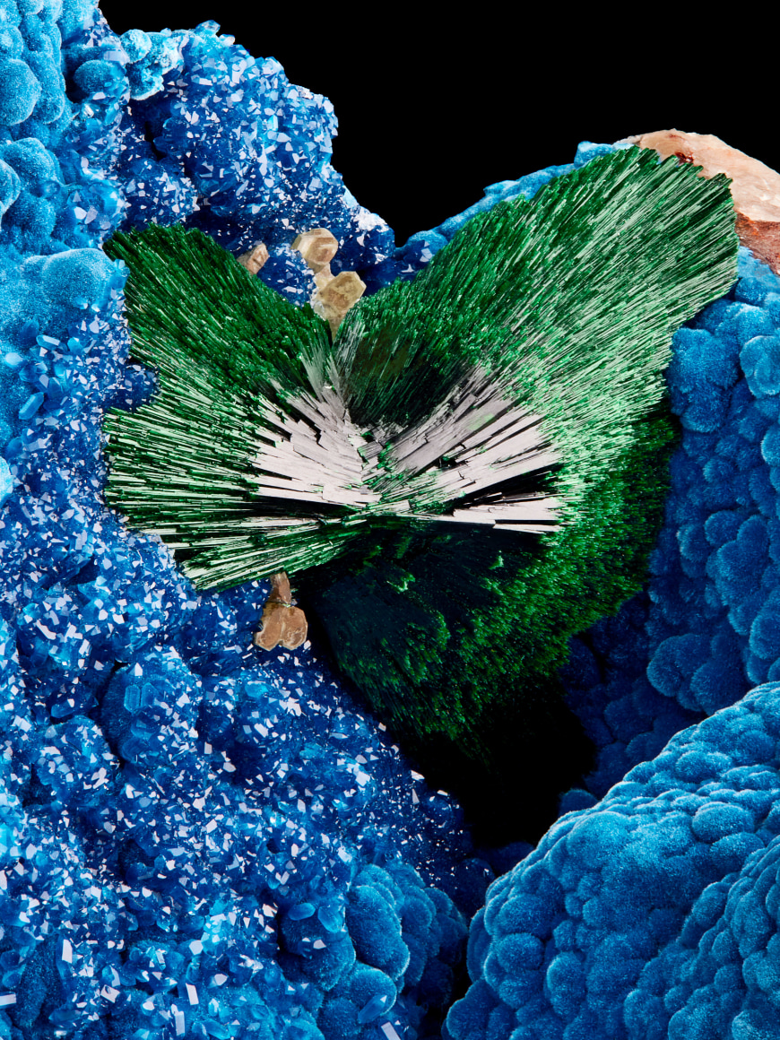 Malachite detail for wilensky exquisite minerals habits exhibition. malachite fine mineral photograph