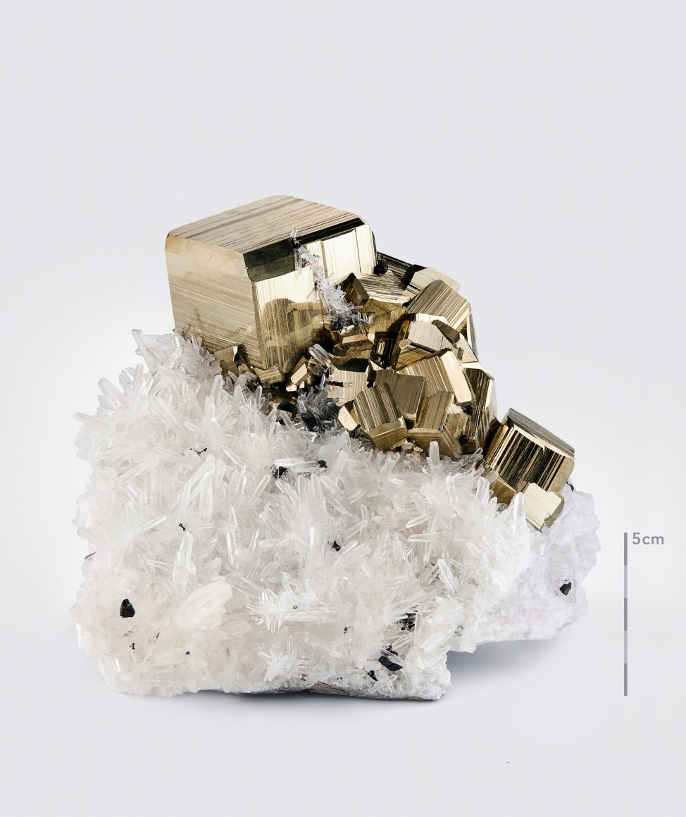 Fine Mineral detail photograph of pyrite on a white background for wilensky exquisite minerals habits exhibition.