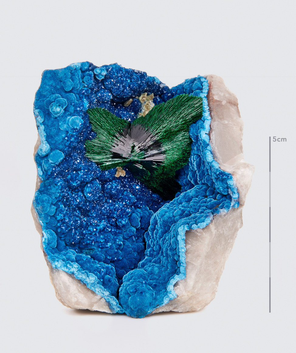 fine mineral photograph of malachite on a white background for Wilensky Exquisite Minerals Habits exhibtion.