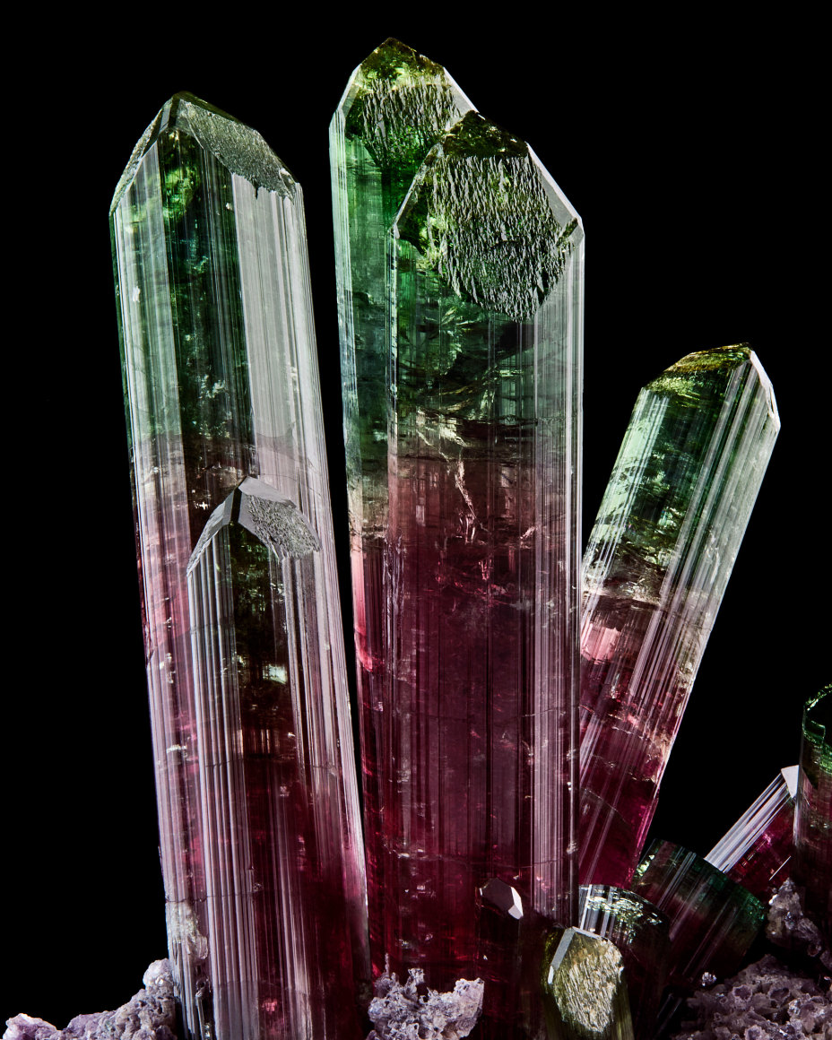 Tourmaline fine mineral detail photograph for wilensky exquisite minerals habits exhibition.