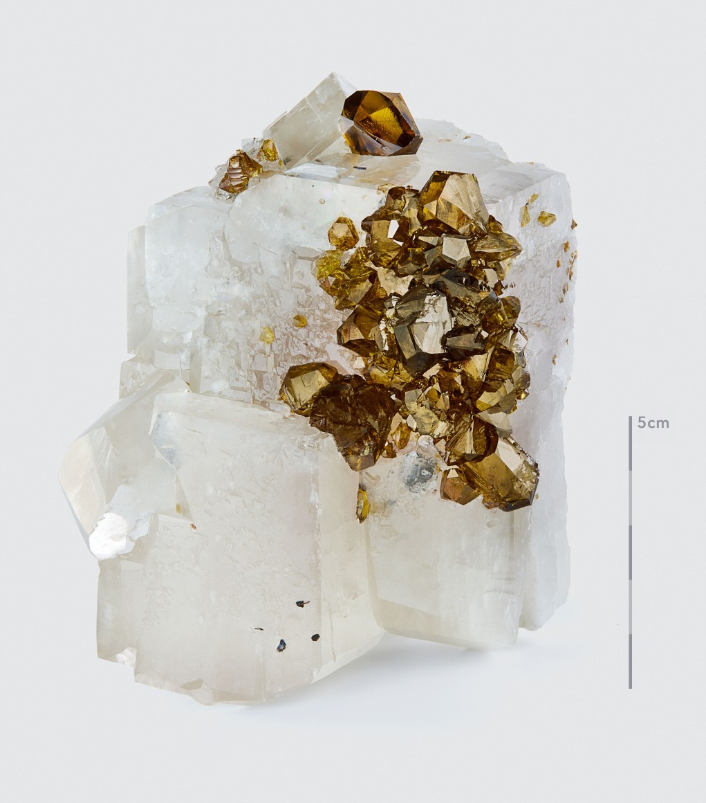 Fine mineral photograph of garnet on calcite on white from wilensky exquisite minerals.