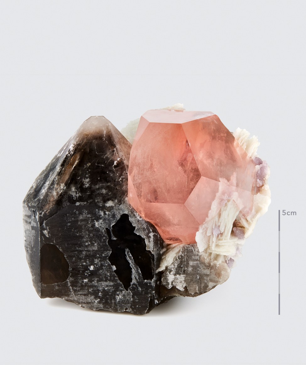 Morganite on white for Wilensky Exquisite Minerals Habits Exhibition. Beryl Fine Minerals