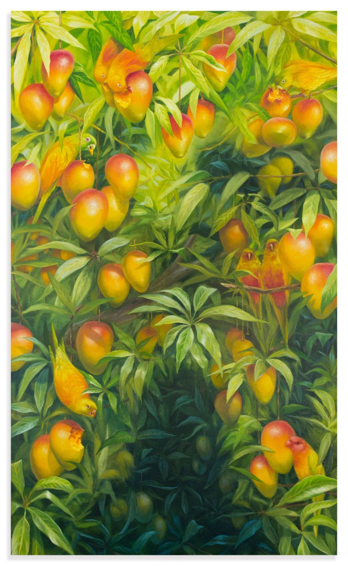 ALONSA GUEVARA Mango Parrots, 2022