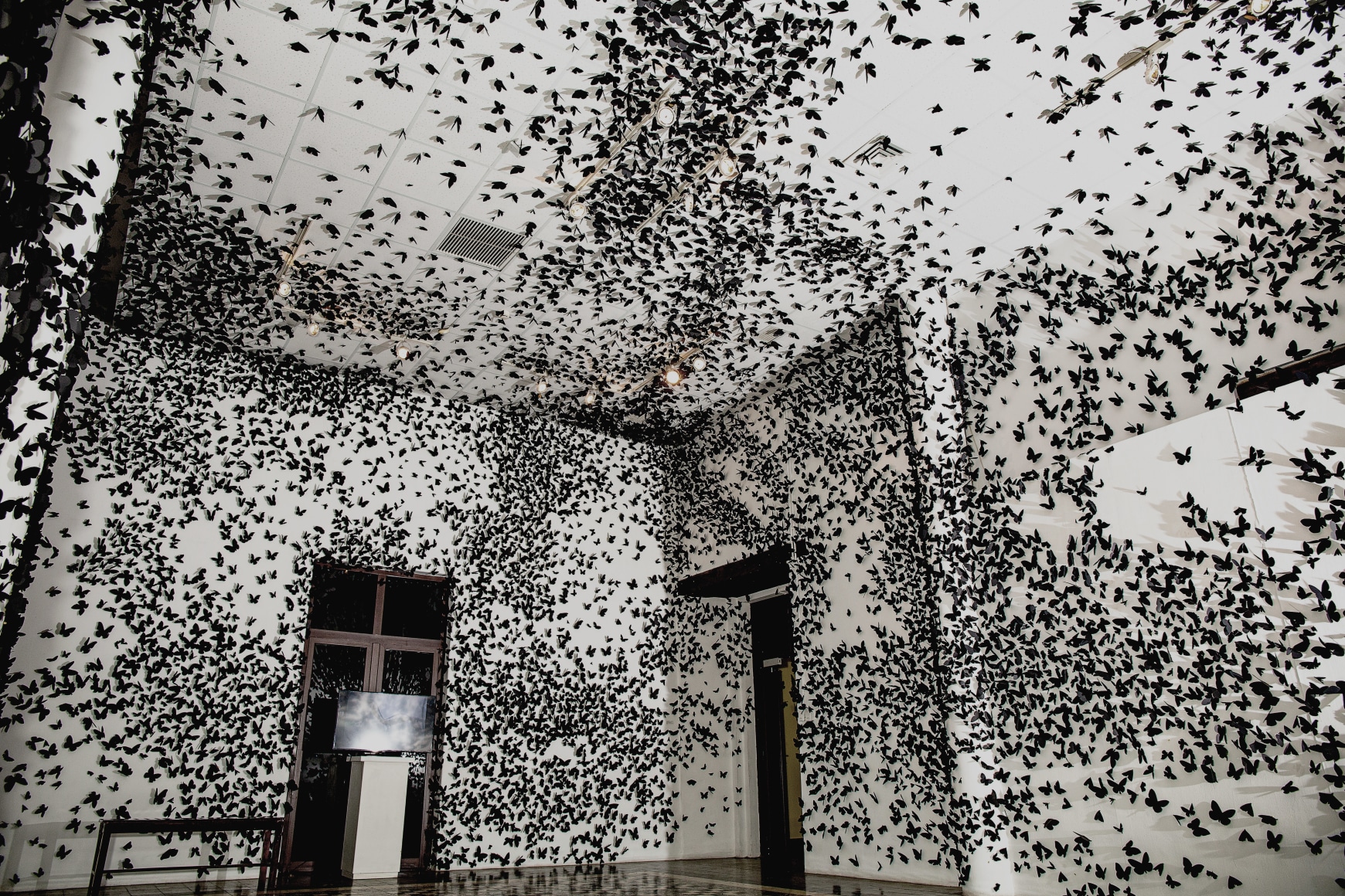 installation view carlos amorales rapsodias,&nbsp;museo para la identidad nacional, 2025. photo: leonel estrada