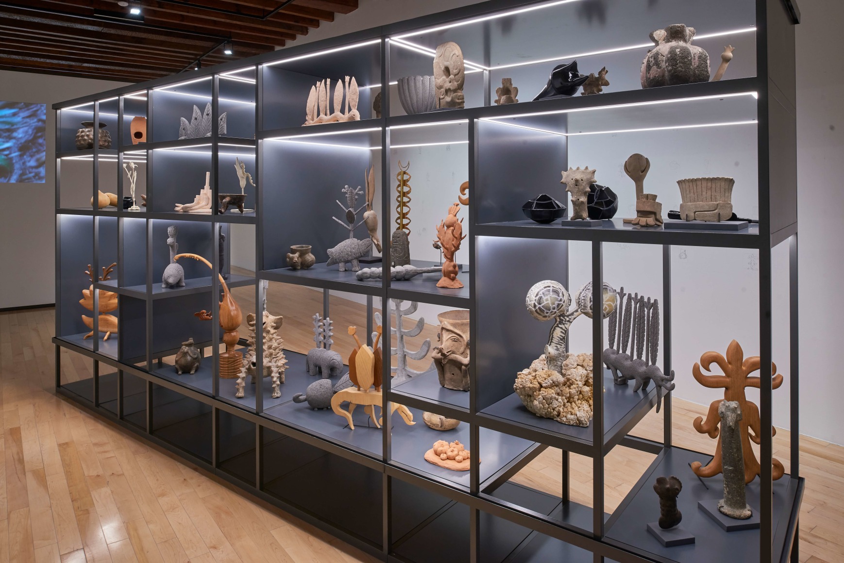 eduardo abaroa, sof&iacute;a t&aacute;boas, vista de instalaci&oacute;n de  imaginario vegetal​, museo amparo, puebla, 2021