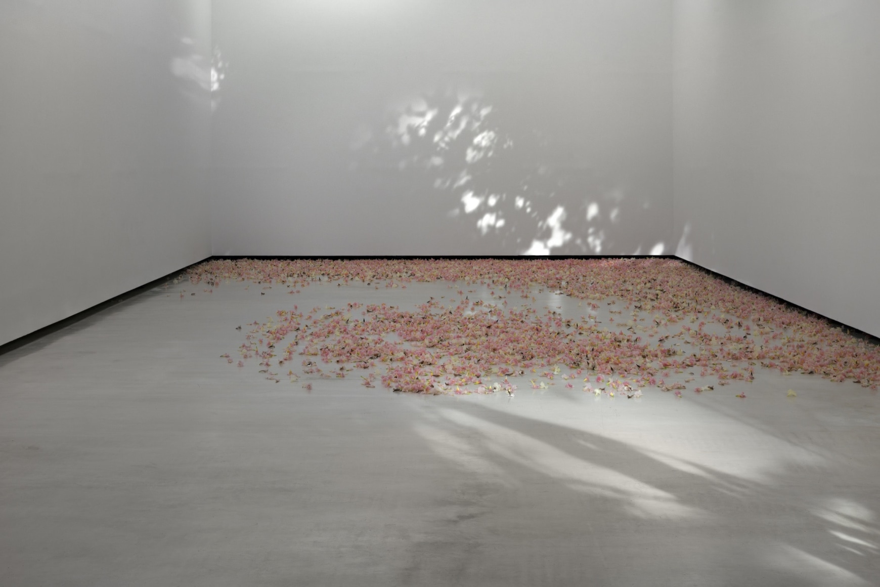 installation view allora &amp;amp; calzadilla: klima, 2024. azkuna zentroa alh&oacute;ndiga bilbao