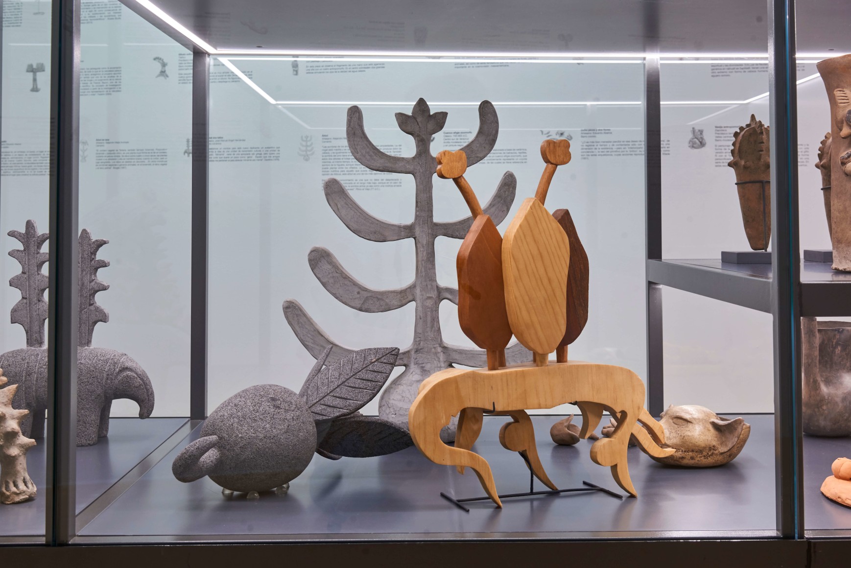 eduardo abaroa, sof&iacute;a t&aacute;boas, vista de instalaci&oacute;n de imaginario vegetal​, museo amparo, puebla, 2021