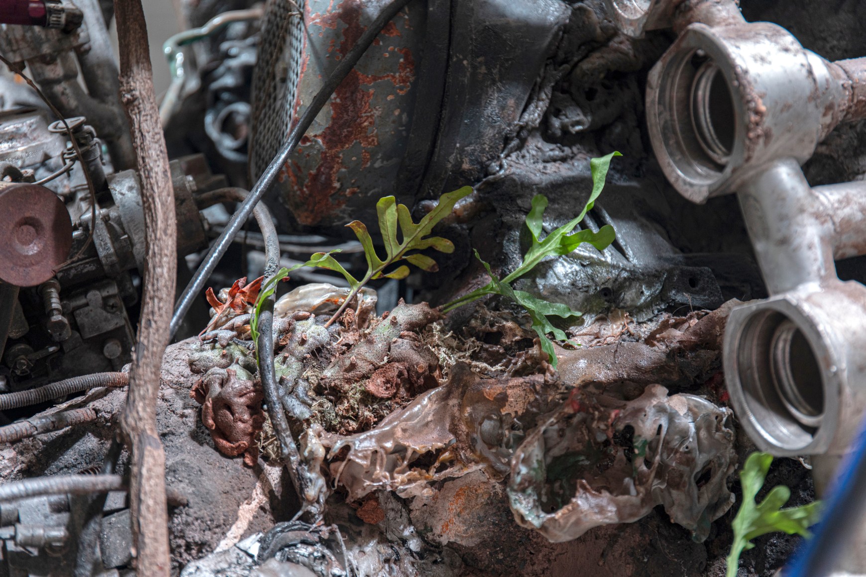 installation view&nbsp;adri&aacute;n villar rojas the language of the enemy, art sonje center, 2025. photo seowon nam
