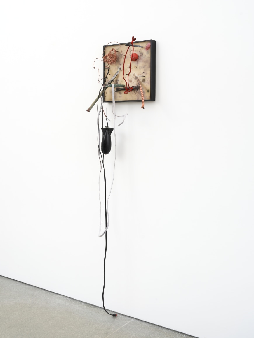 Abraham Cruzvillegas,&nbsp;Untitled Little Song 35, 2023, Plaster, beeswax, blackberries, copper, cotton, shells, leather, brass, plastic, nylon