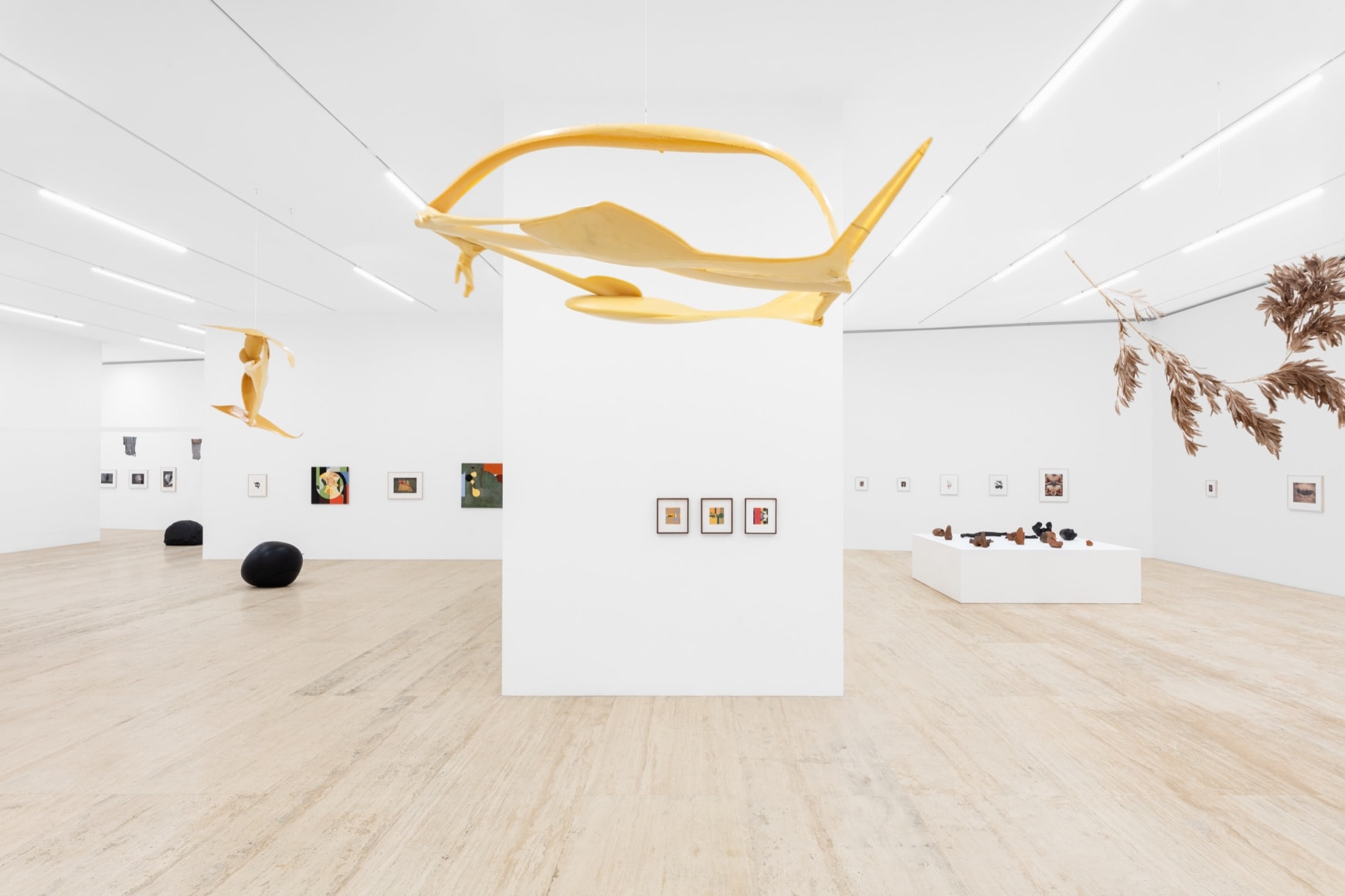 installation view gabriel orozco: polit&eacute;cnico nacional, museo jumex, 2025. photo:&nbsp;gerardo landa / eduardo l&oacute;pez (glr estudio)