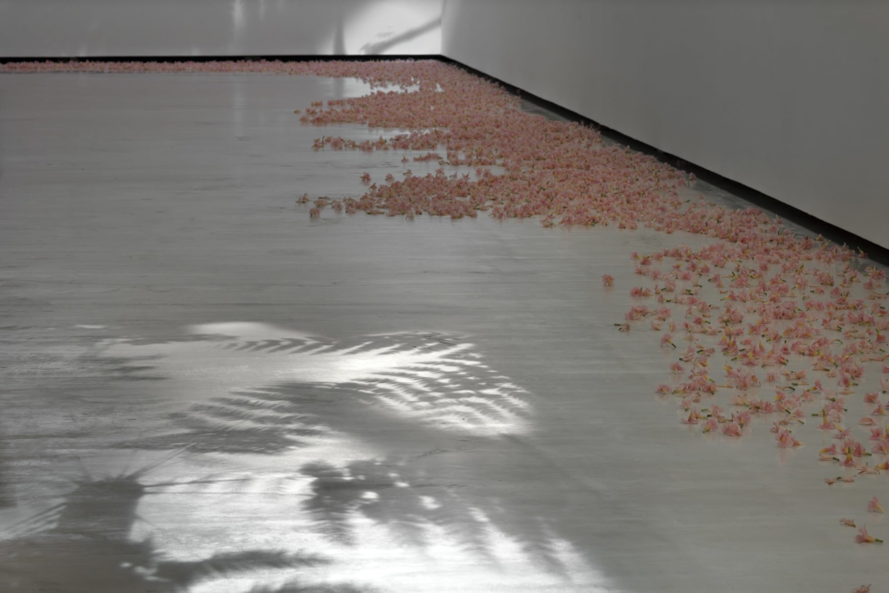 installation view allora &amp;amp; calzadilla: klima, 2024. azkuna zentroa alh&oacute;ndiga bilbao