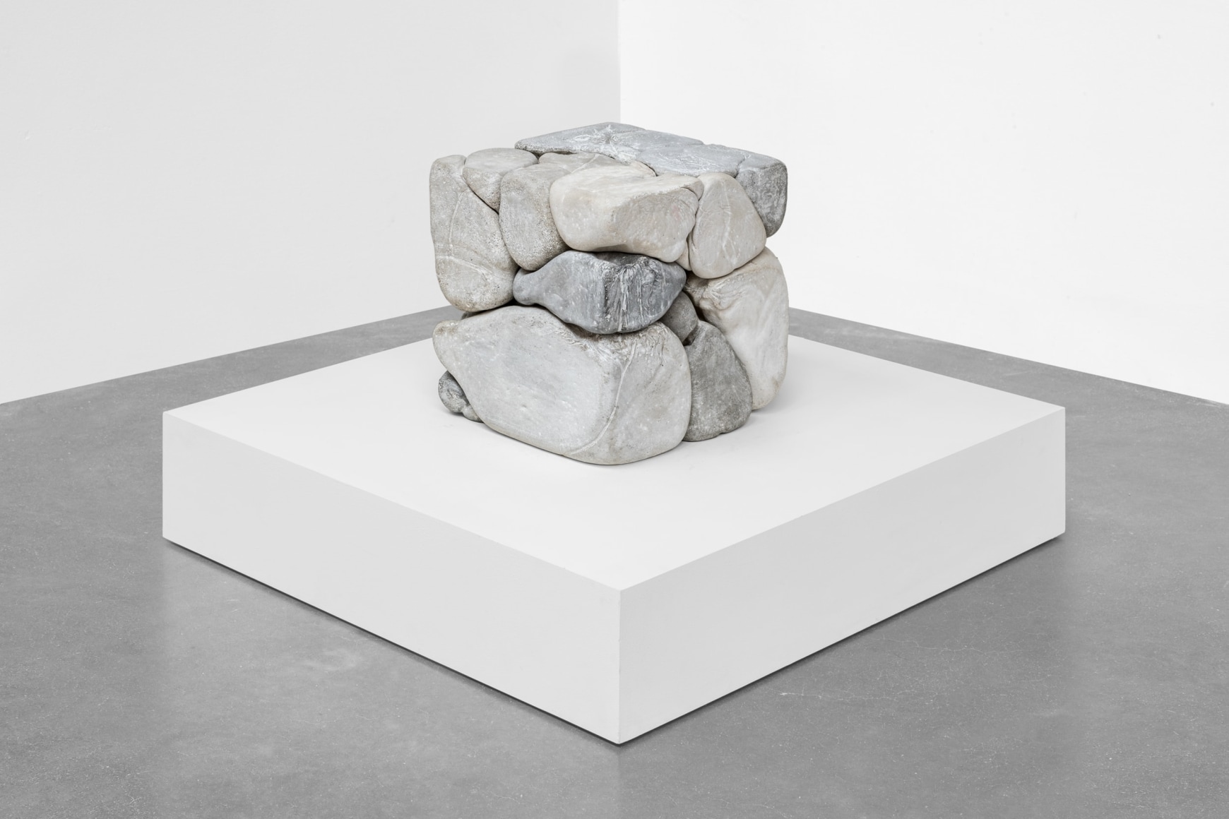 dami&aacute;n ortega, organ&oacute;n 11, 2023