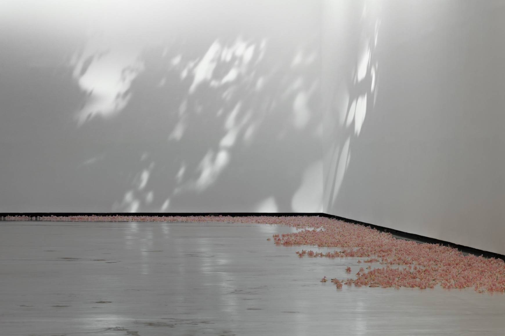 installation view allora &amp;amp; calzadilla: klima, 2024. azkuna zentroa alh&oacute;ndiga bilbao