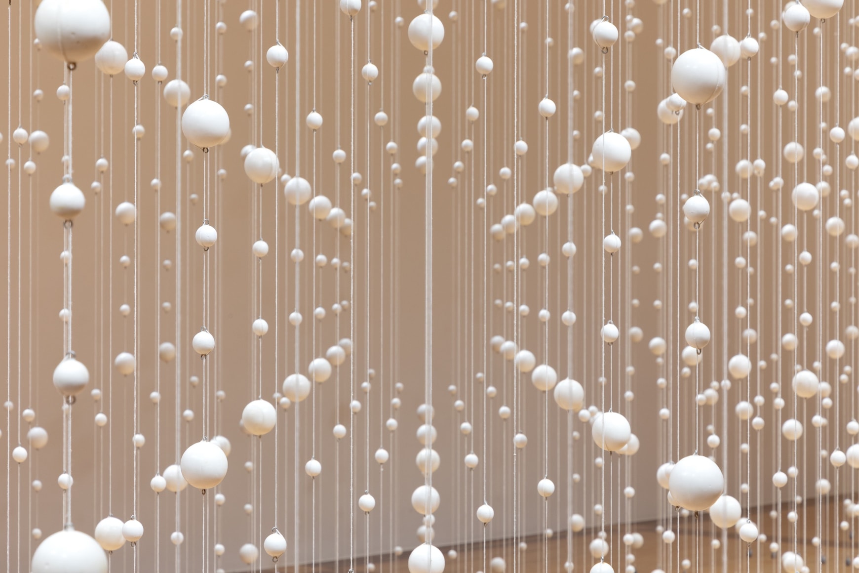 dami&aacute;n ortega - pico y elote, 2023. cortes&iacute;a de marco, monterrey