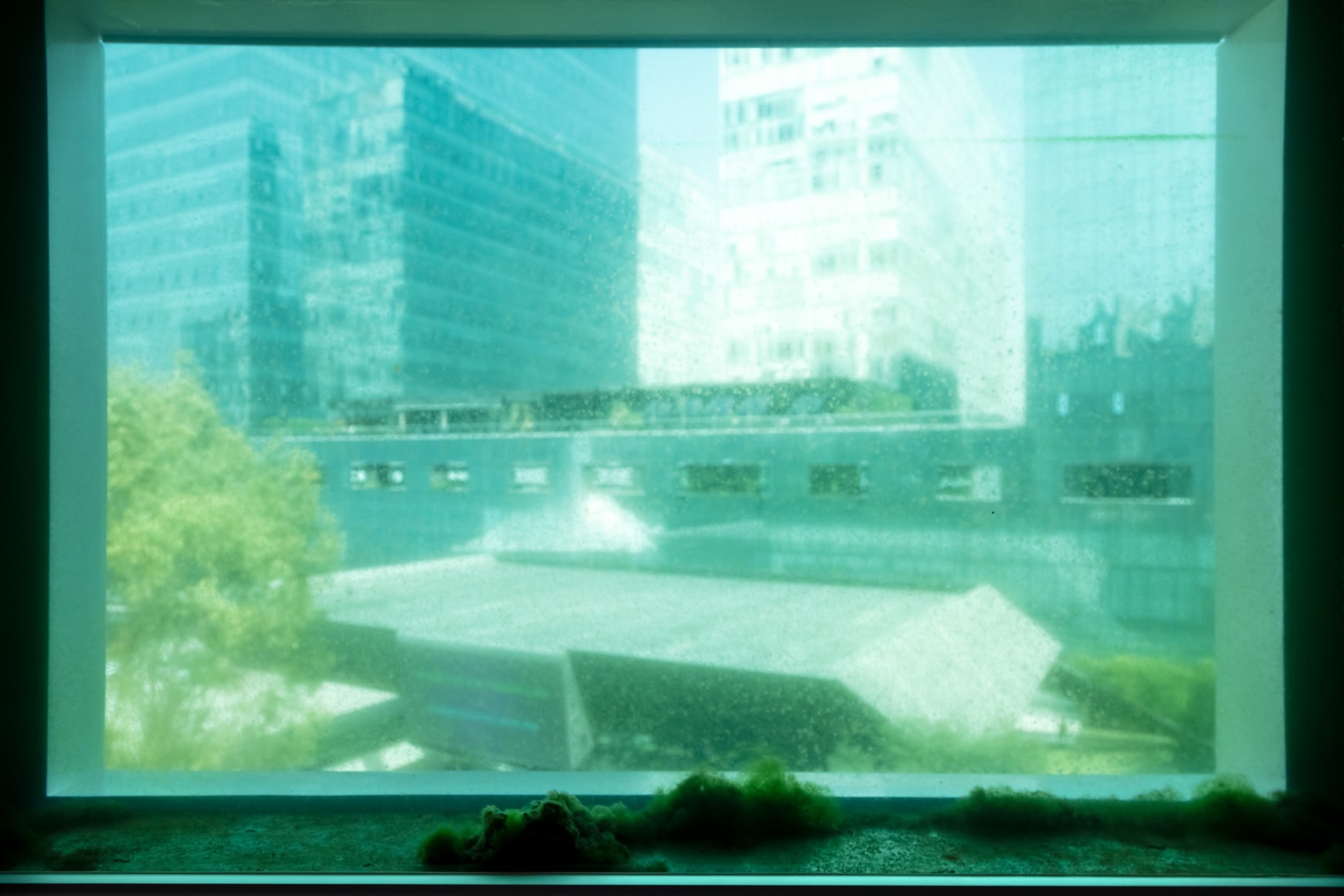 sof&iacute;a t&aacute;boas, installation view, museo jumex, 2021