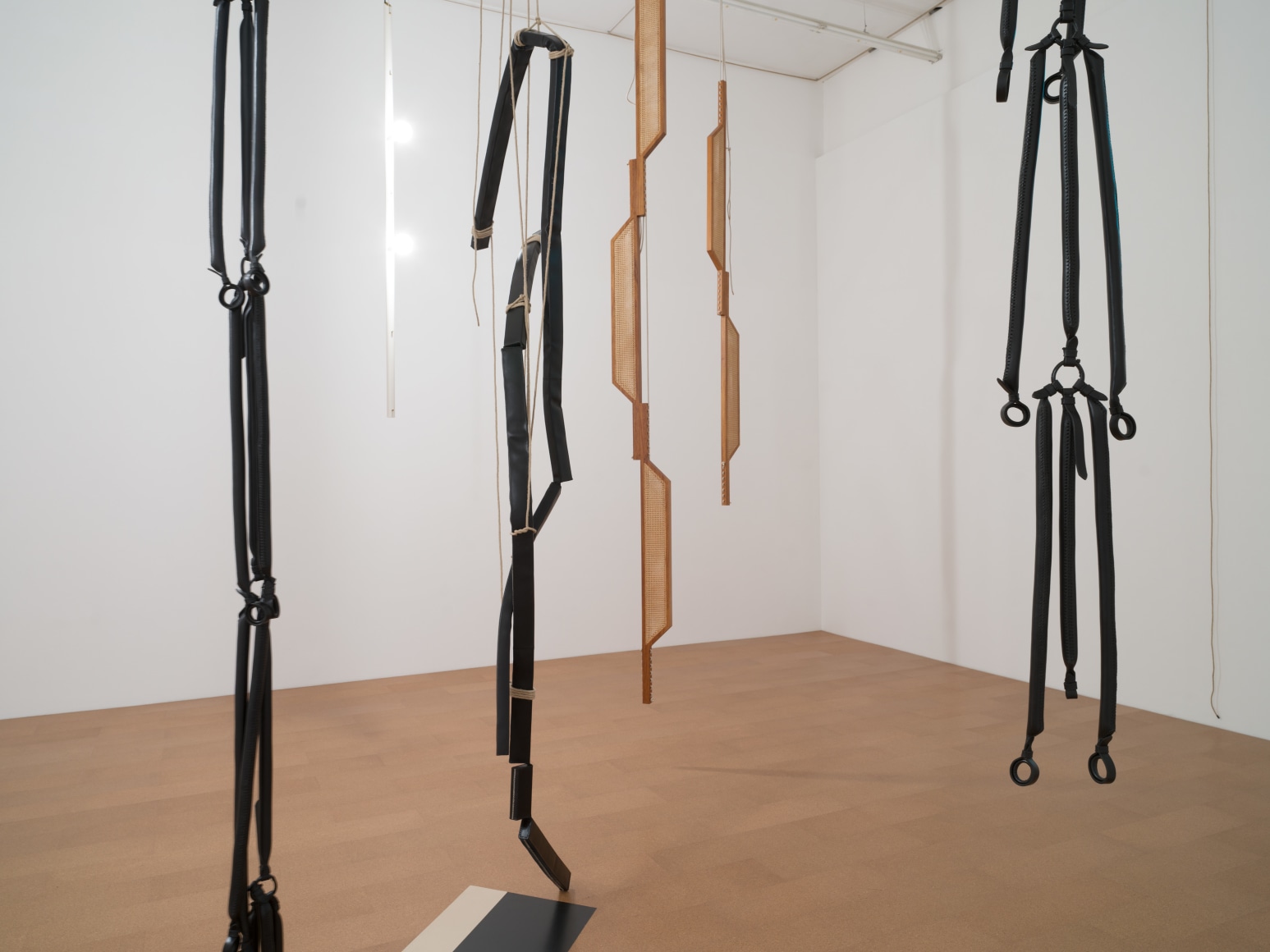 installation view leonor antunes the constant inequality of leonor&#039;s days *,&nbsp;crac occitanie, 2025. photo: nick ash