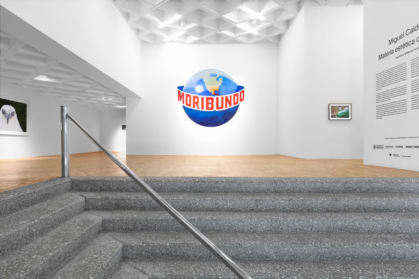 available aesthetic matter, museo tamayo, mexico city, 2022