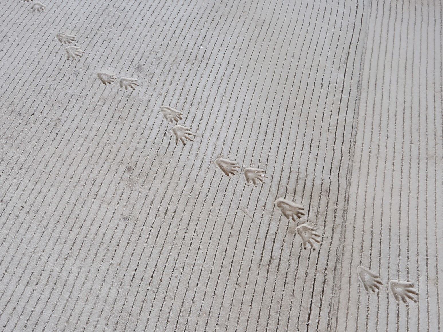 installation process mariana castillo deball feathered changes, los angeles county museum of art. lacma 2025. photo: courtesy the artist