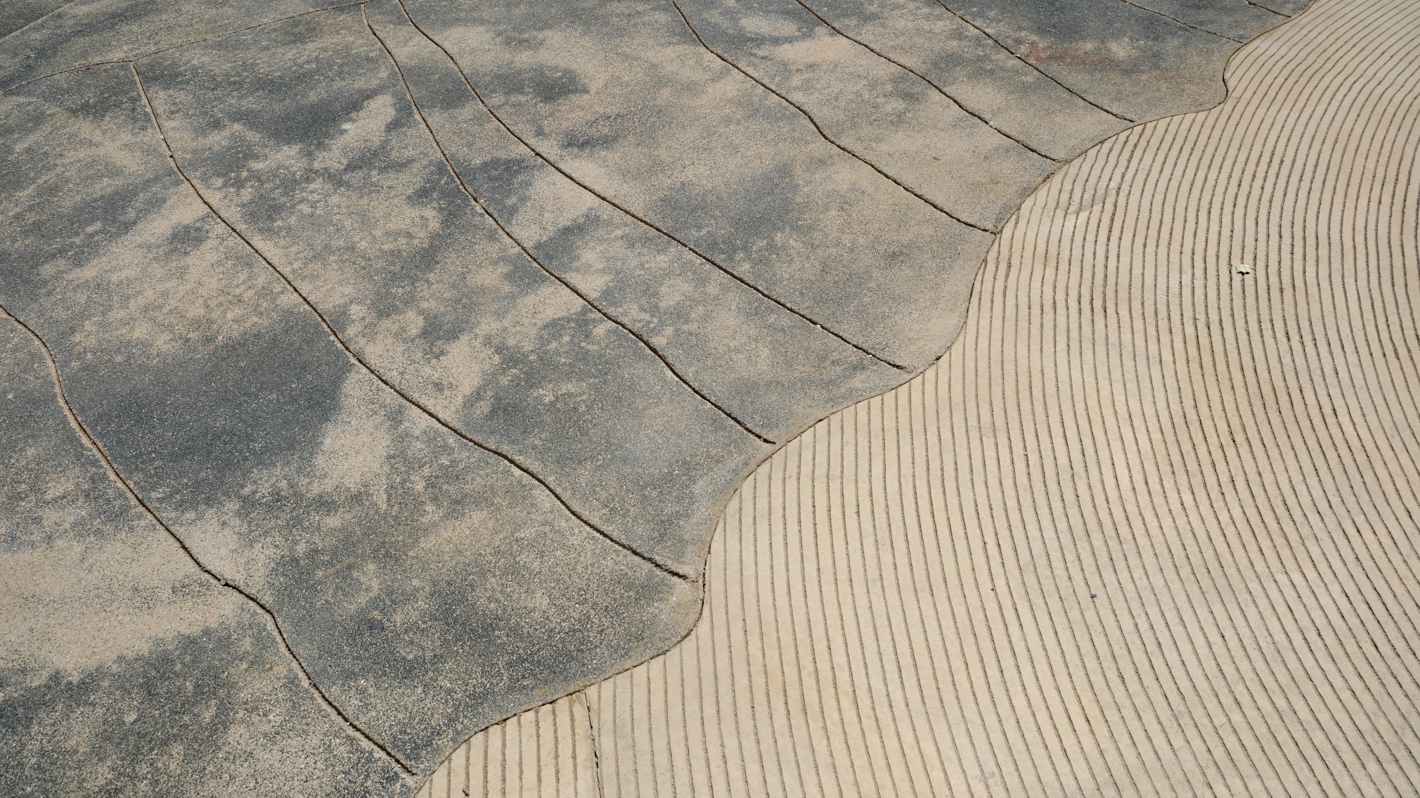 installation view mariana castillo deball feathered changes, los angeles county museum of art. lacma 2025. photo: manuel reader