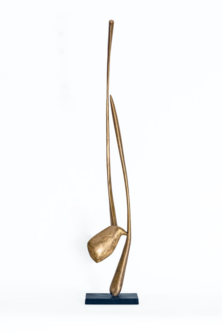 David Borgerding APHIR, 2021