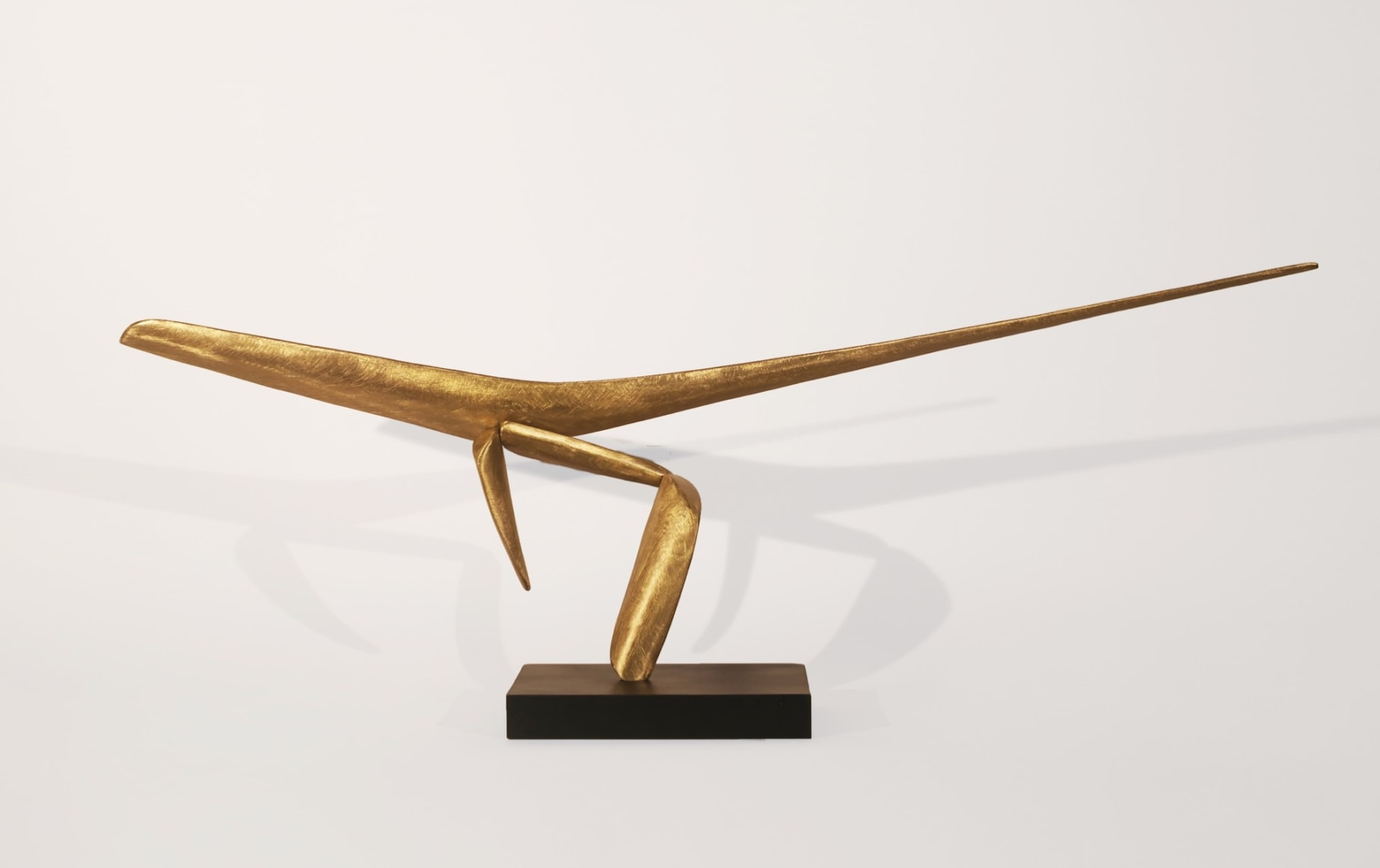 David Borgerding AEKAR, 2025