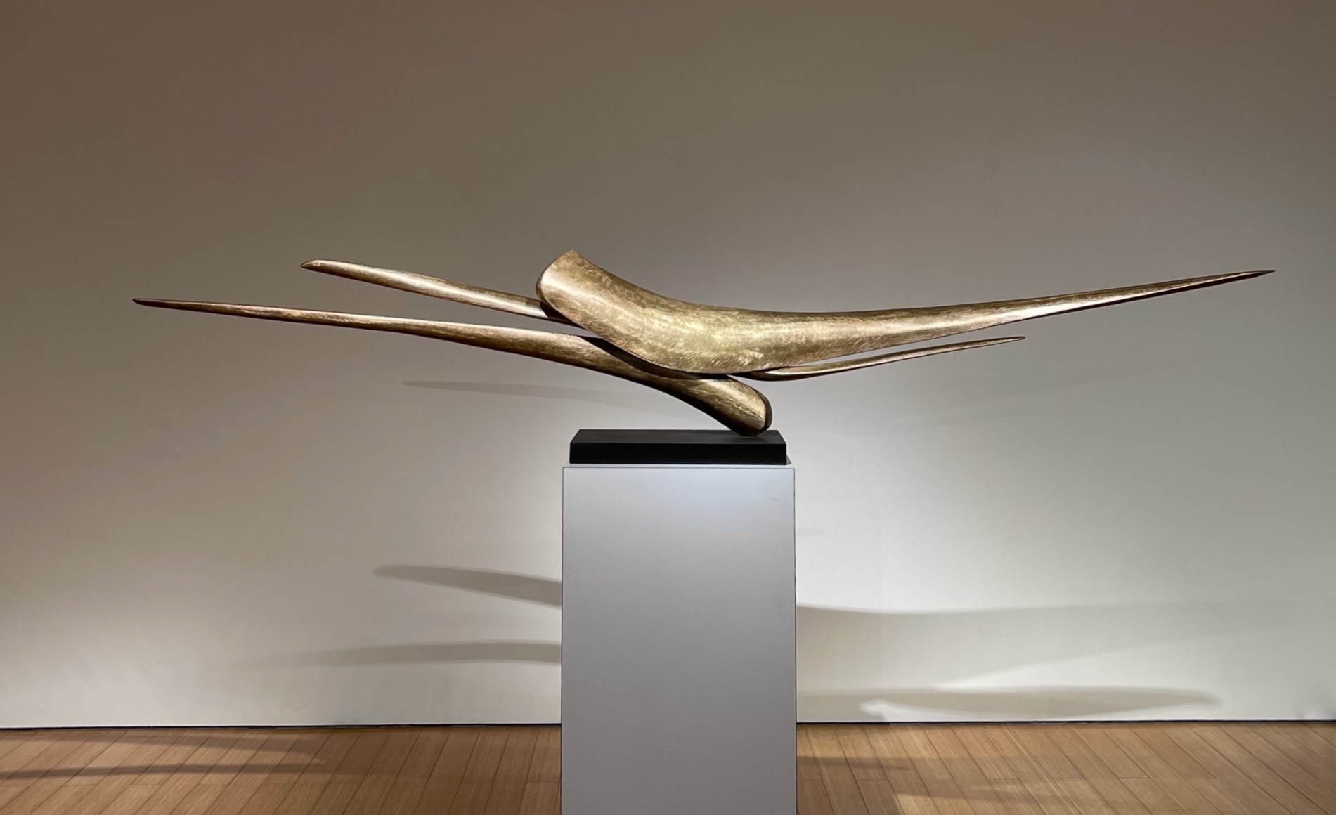 David Borgerding IGNARAK