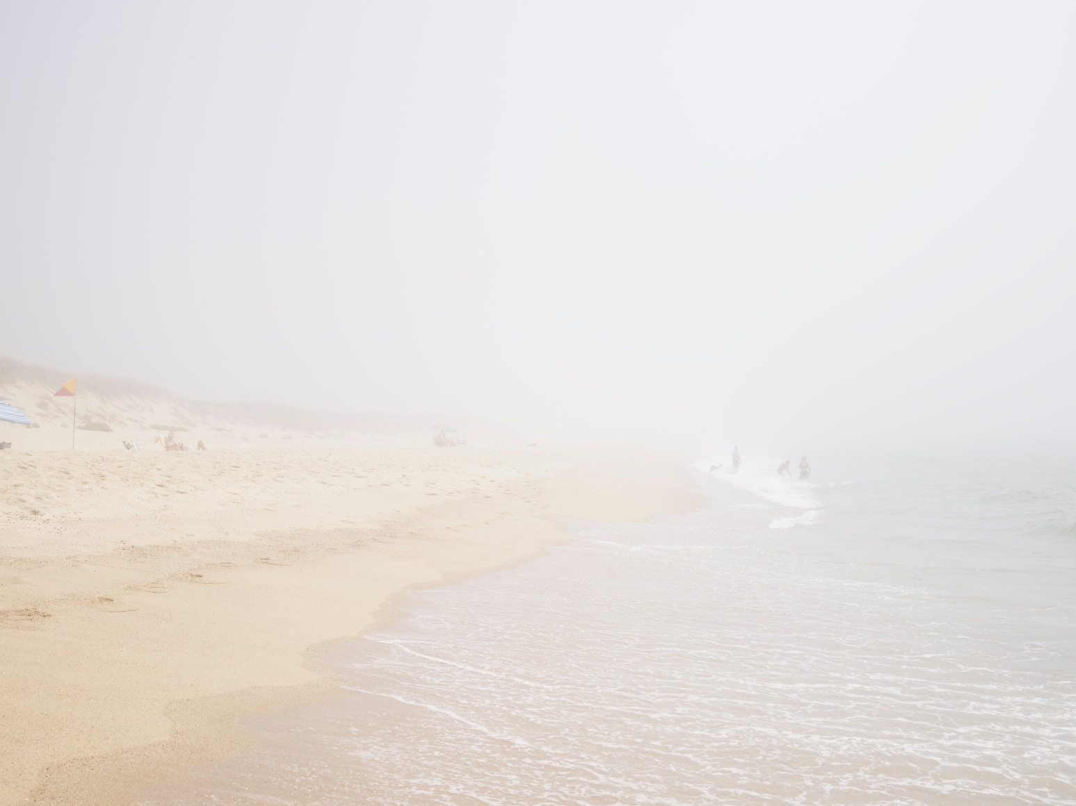 Nathan Coe, Foggy Ladies, 2023