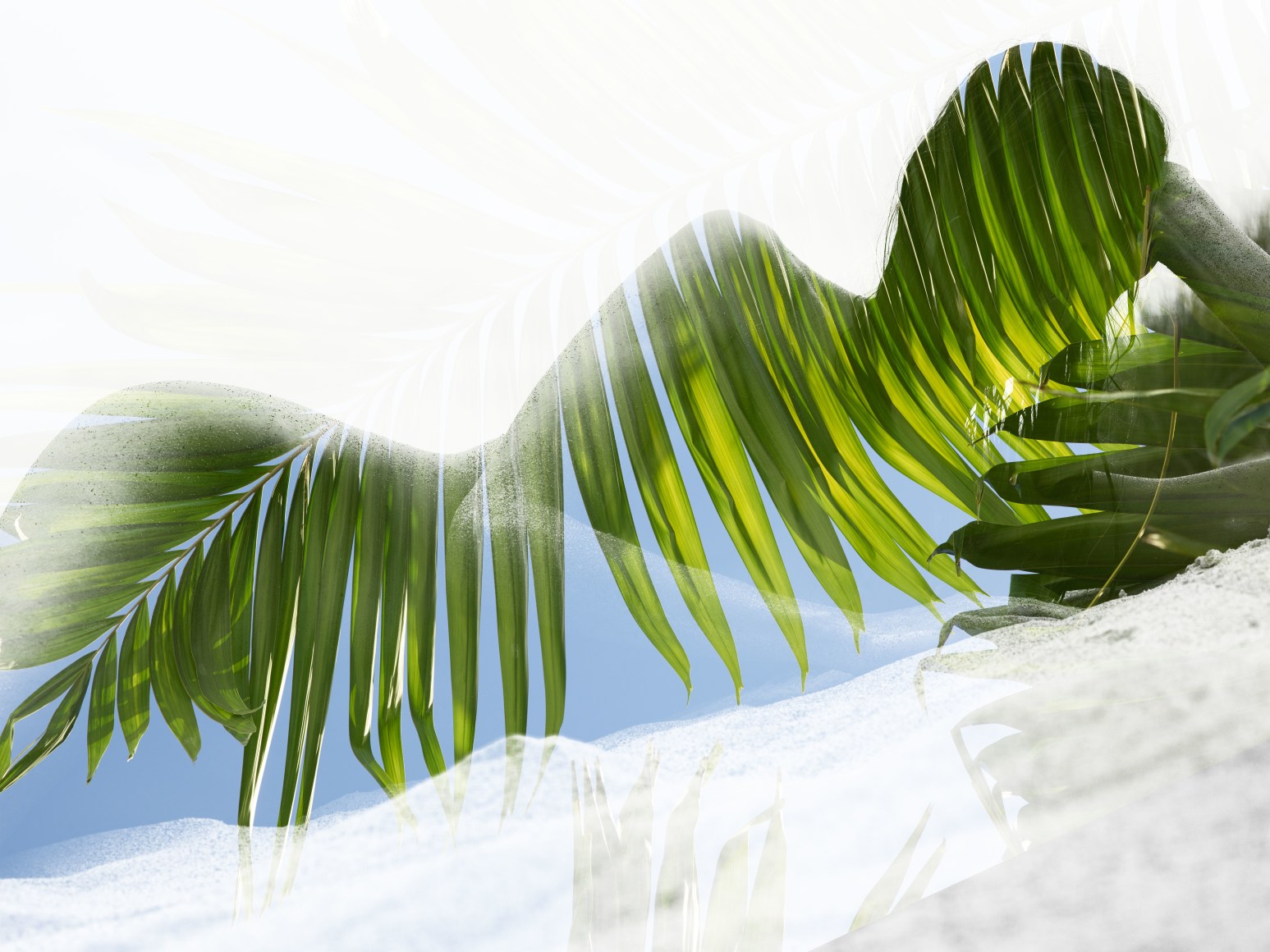 Nathan Coe  Palm Goddess 3 double exposure