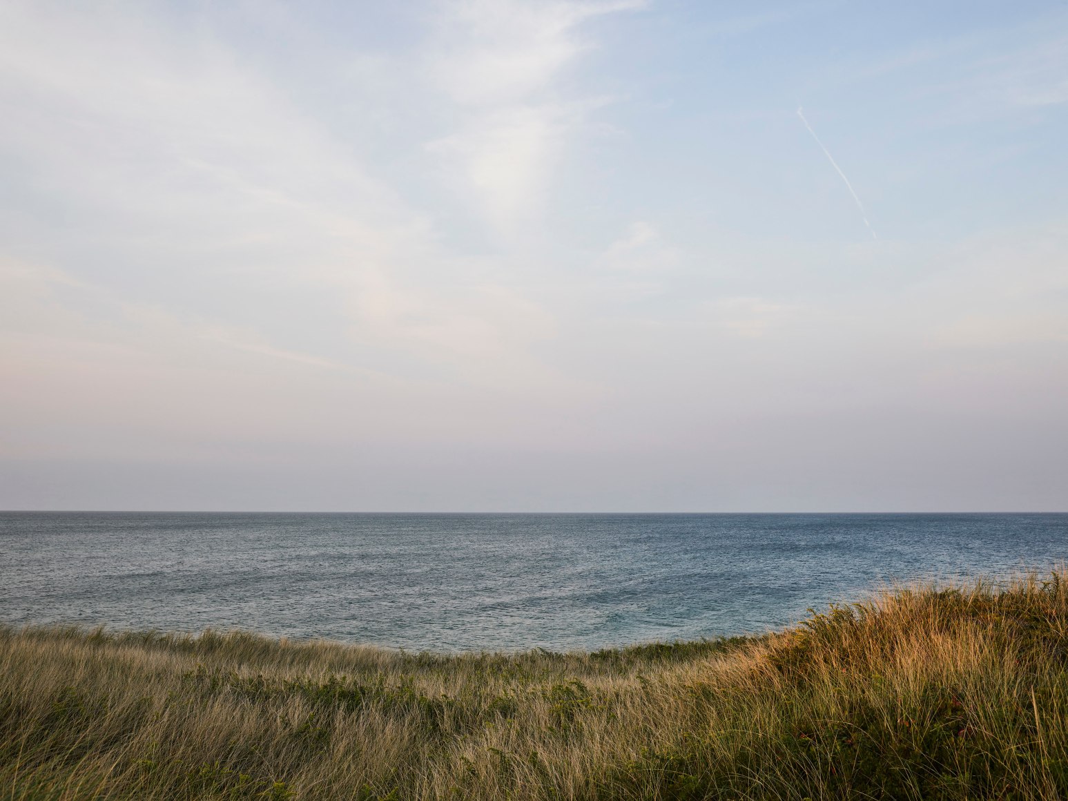 Nathan Coe, Sun Kissed, 2023