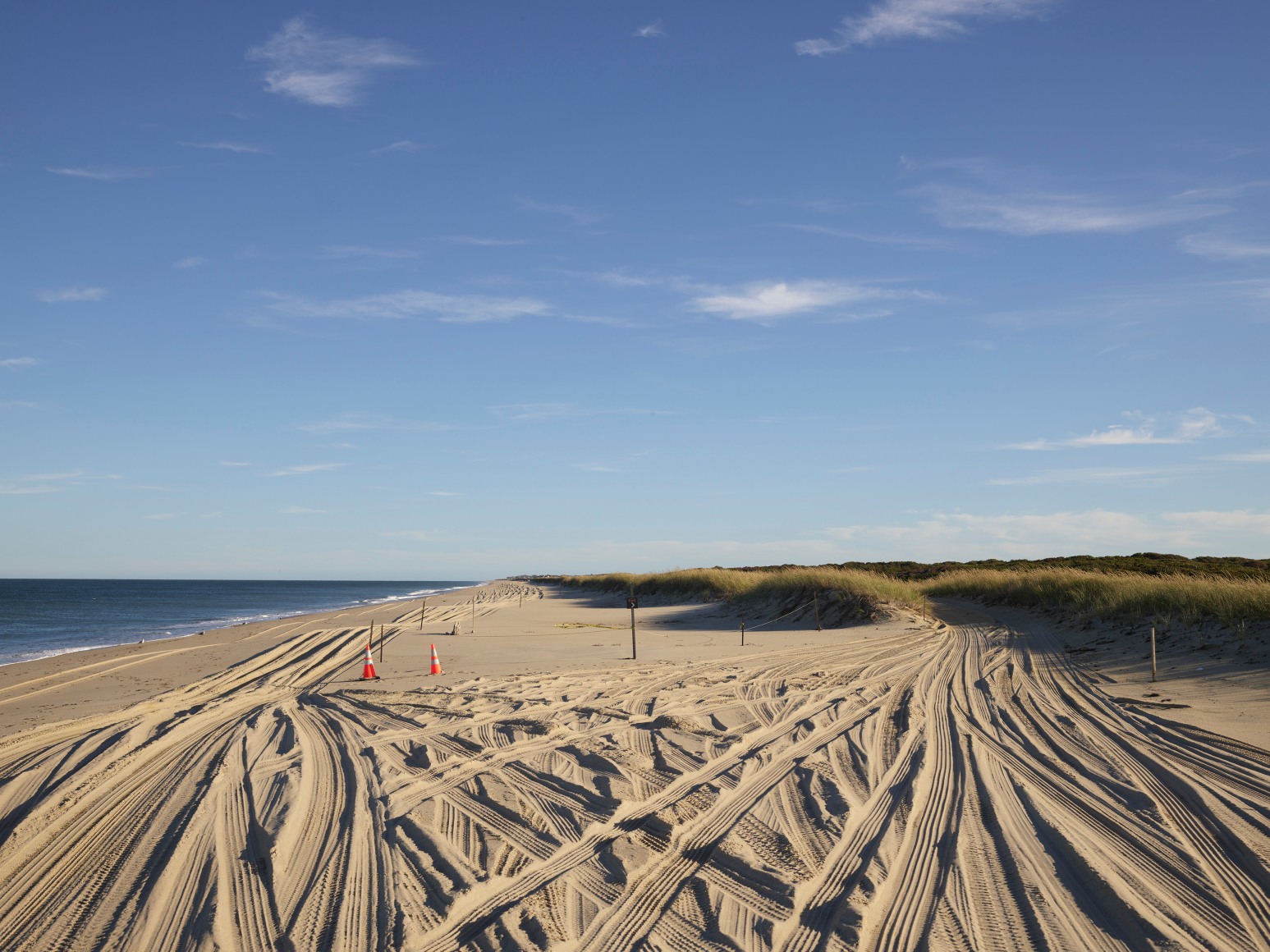 Nathan Coe, Spaghetti Junction, 2023