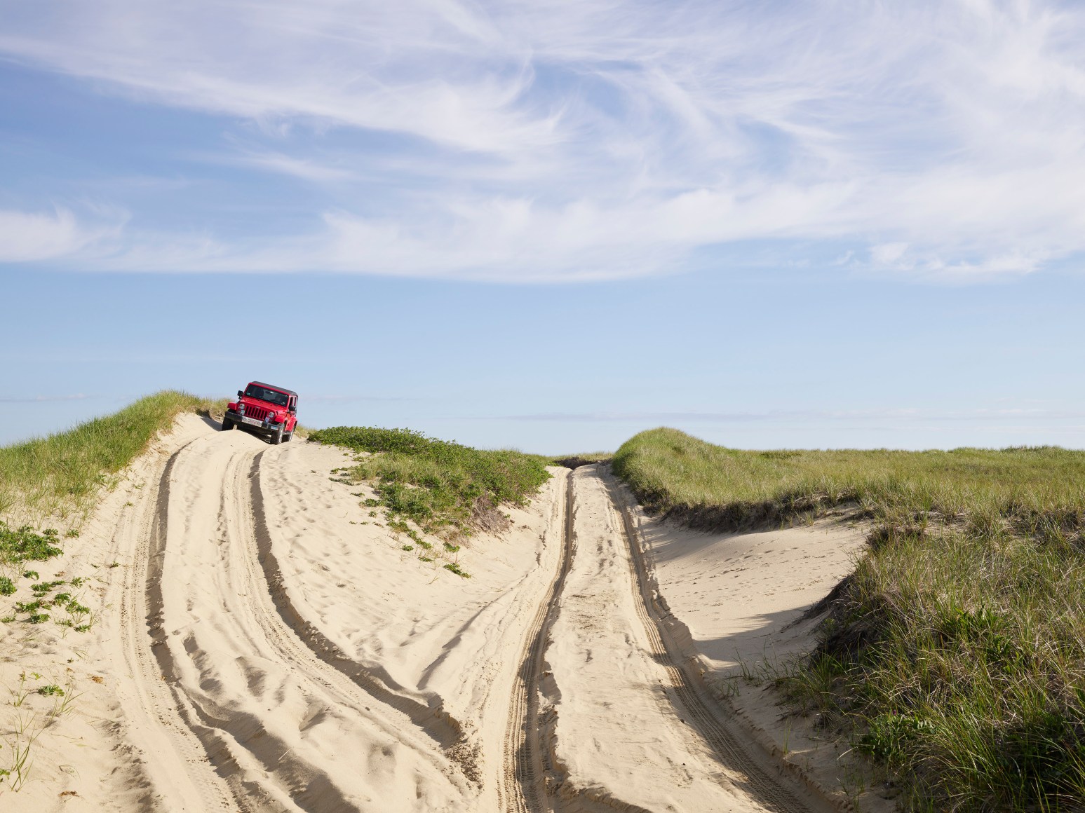 Nathan Coe, Rollercoaster, 2023